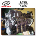 Cylinder Block G4KD