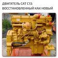 OEM Quality CAT Cat