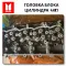 Cylinder Head Isuzu