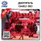 CA4DC2-10E3 двигатель