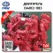 CA4DC2-10E3 двигатель