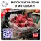 Производство мотоблоков