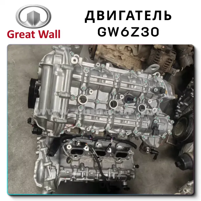 Контрактные двигатели GW6Z30 для  на Tank 500