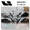 Mirror Li Xiang C